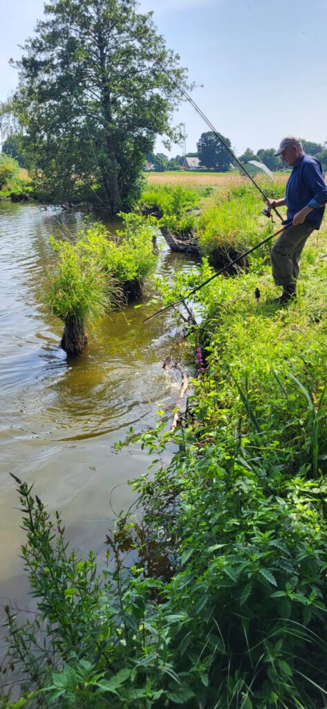 Dieses Bild hat ein leeres Alt-Attribut. Der Dateiname ist 2-473x1024.jpg